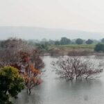 पुन्हा नव्याने-मराठीकथा पुन्हा नव्याने-मराठीकथा