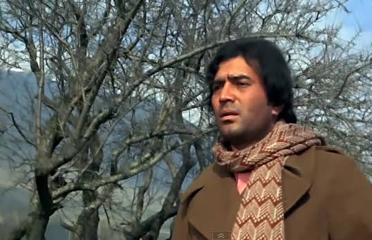 जिंदगी के सफर मे ….