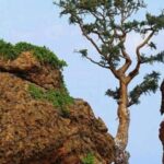 दैवगाठ- मराठी प्रेमकथा दैवगाठ- मराठी प्रेमकथा