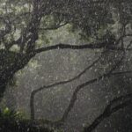 एक थरारक चिंब रात्र-मराठी कथा एक थरारक चिंब रात्र-मराठी कथा