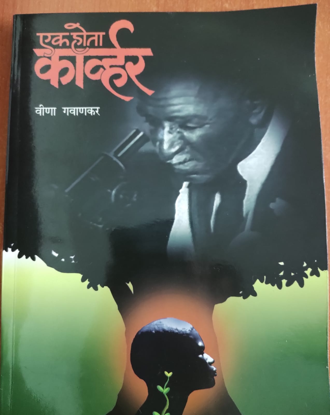 एक होता कार्व्हर-रसग्रहण